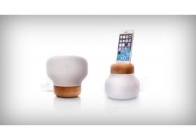 THE NEXT BEST MUSHROOM AFTER MARIO!