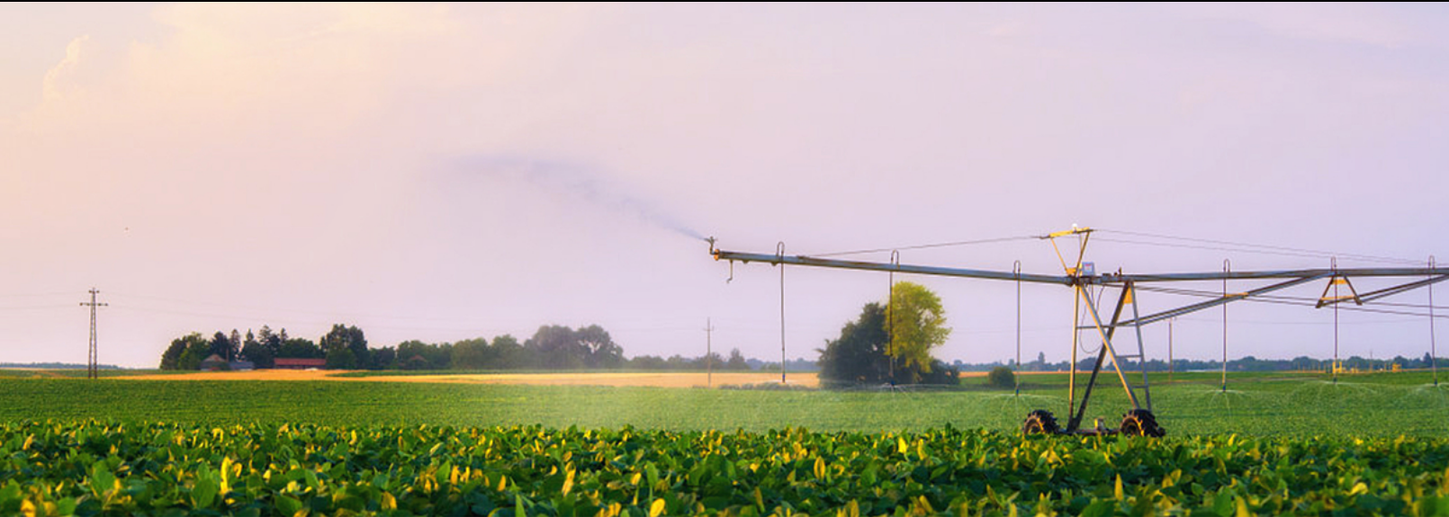 1594026967(1).jpg 1594026967(1).jpg