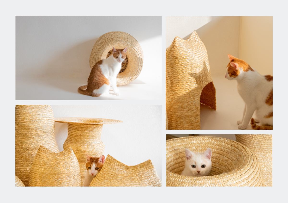 XRFJPZzKAsZpX3nbPP8G.jpg XRFJPZzKAsZpX3nbPP8G.jpg