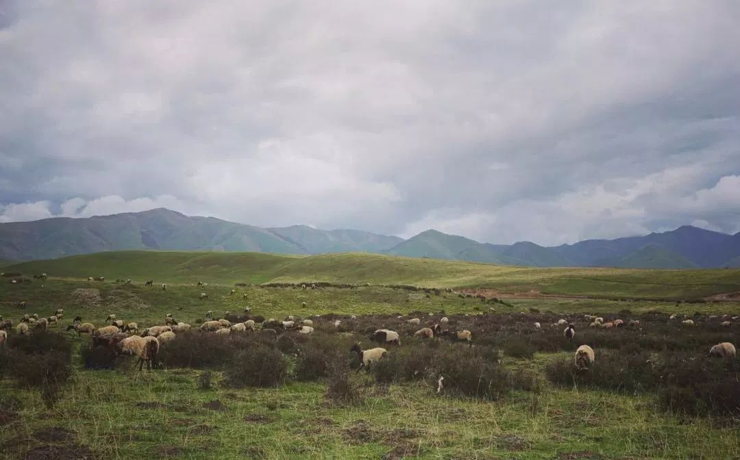 微信图片_20220922093927.png 微信图片_20220922093927.png