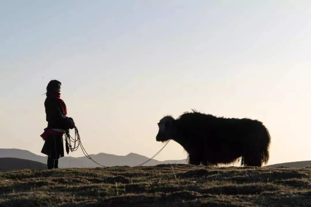 微信图片_20220922094333.png 微信图片_20220922094333.png