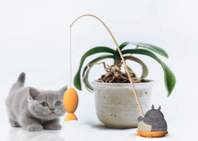Totoro渔夫猫玩具，会是猫主子的新宠吗